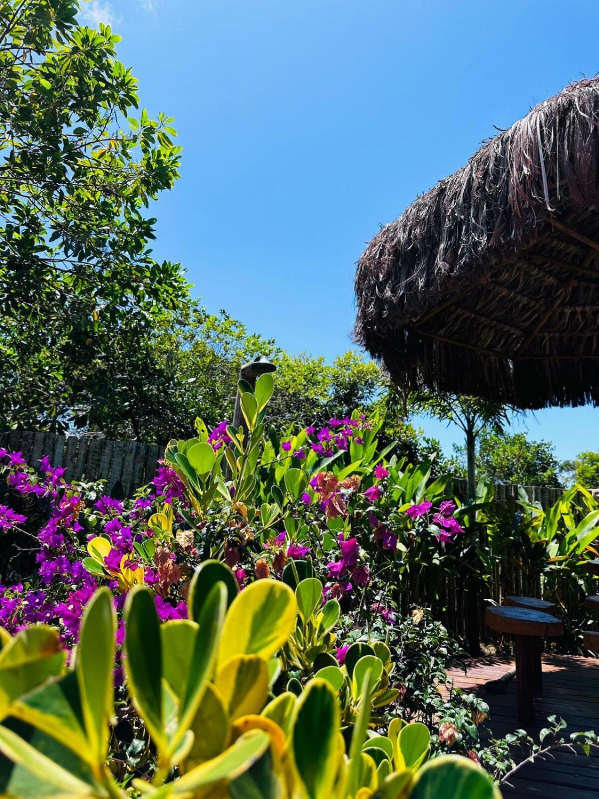 Casa Estrela Luz - Xando - Caraiva Casa de férias Porto Seguro
